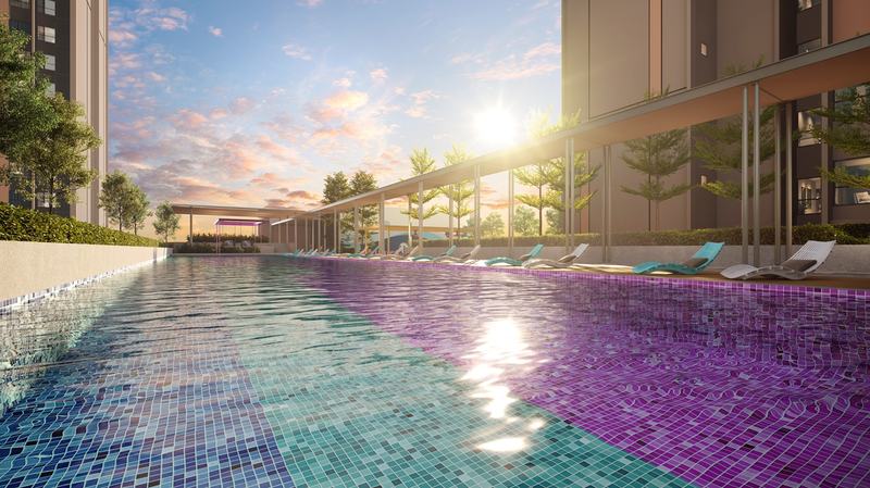 Vividz Pool II
